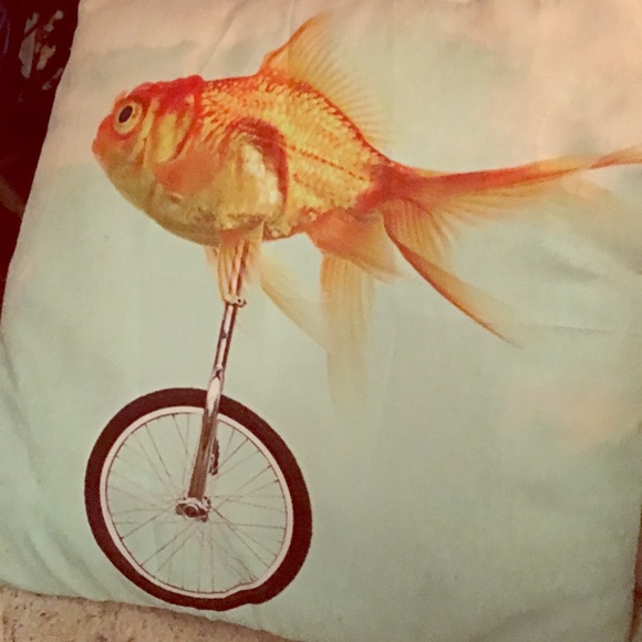 Meet your Posher, Gennie - Picture 1 of 1